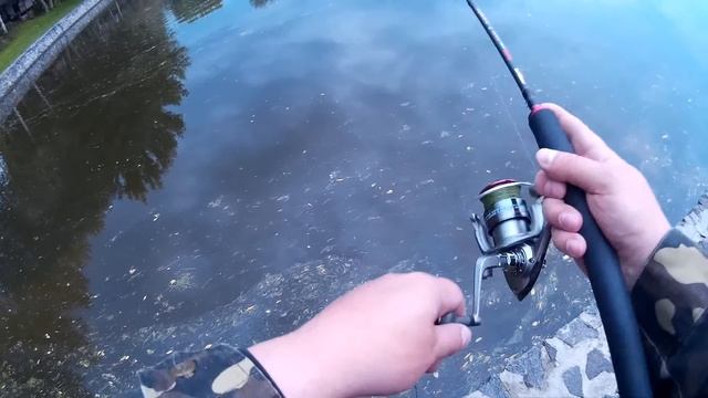 Тест  TsuYoki MOVER MR 128SP