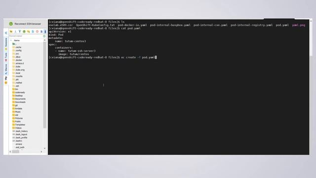 Entrust CloudControl: Integration with Red Hat OpenShift Part 2 смотреть онлайн