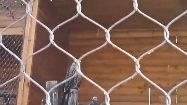 Путешествие юриста | Новосибирск смотреть онлайн
