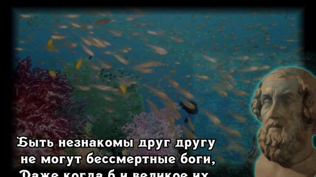 Гомер - высказывания великих /цитаты афоризмы аудиокнига смотреть онлайн