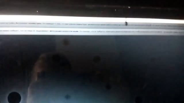 синий экран код ошибкой что делать в vertaulbox на windows server 2008. смотреть онлайн