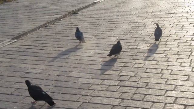 На Выходные в Город ч. 2 Они такие милые эти.. смотреть онлайн