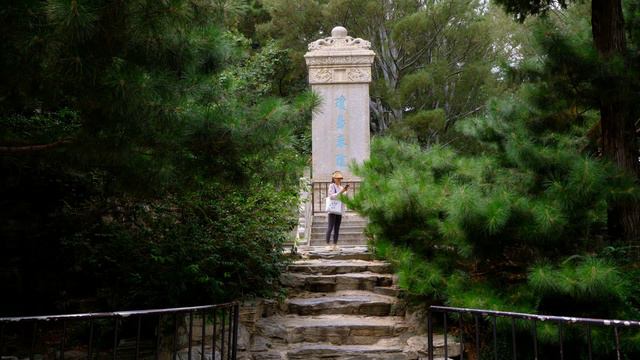 Китайская зарисовка №5 Лотос.