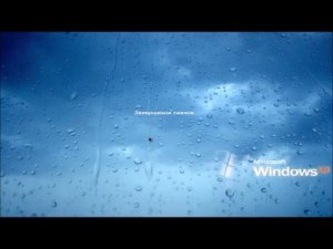 Windows XP Zver с звуками Windows XP Chip