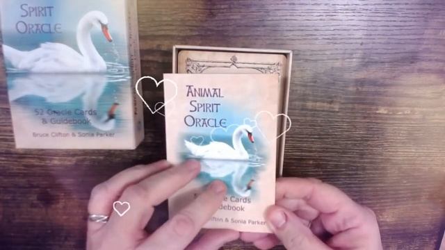 Animal Spirit Oracle Deck, Animal Spirit Meanings & Symbolism смотреть онлайн