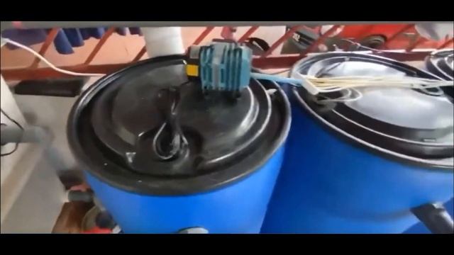 Выращивание рыбы в УЗВ. Небольшая установка для искусственного разведения рыбы в домашних условиях смотреть онлайн