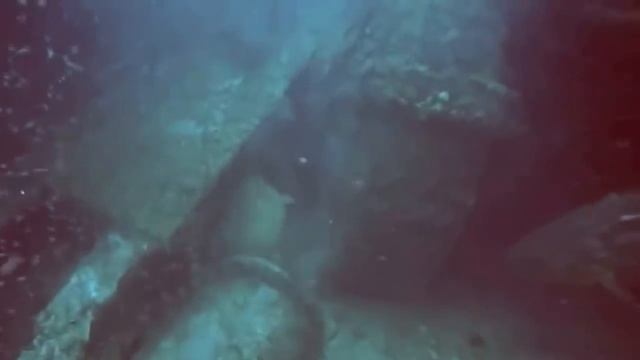 Как взбесить подводного охотника?