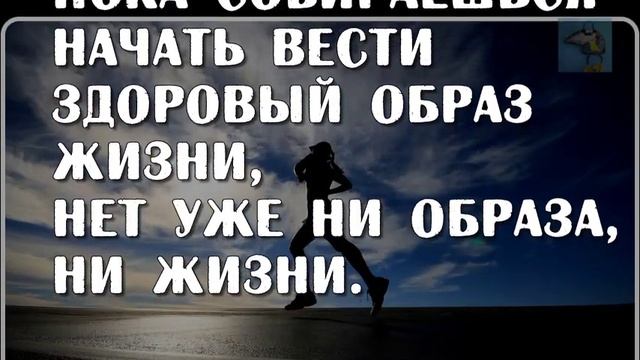 Пятерка анекдотов | Здоровый образ жизни смотреть онлайн