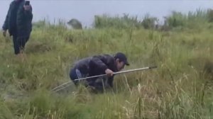 Щука на 10 кг.  Ловля щуки на спиннинг. Рыбалка осенью на озере. Щука на блесну. Pike fishing.