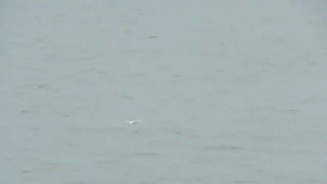 Миусский лиман