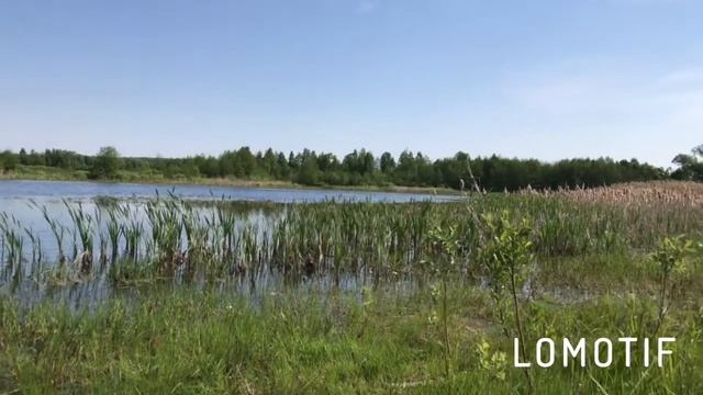 ☞ ♓ ЛОВЛЯ НА ОЗЕРЕ 13.05.2018!ЛОВЛЯ КАРАСЕЙ С БЕРЕГА!РЫБАЛКА СЕЛО ИВОТ,ШОСТКИНСКАЯ ОБЛАСТЬ! смотреть онлайн