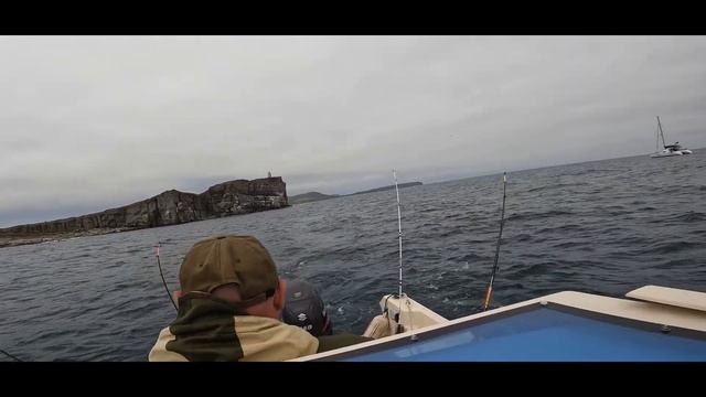 Троллим Симу во Владивостоке. Первый улов смотреть онлайн