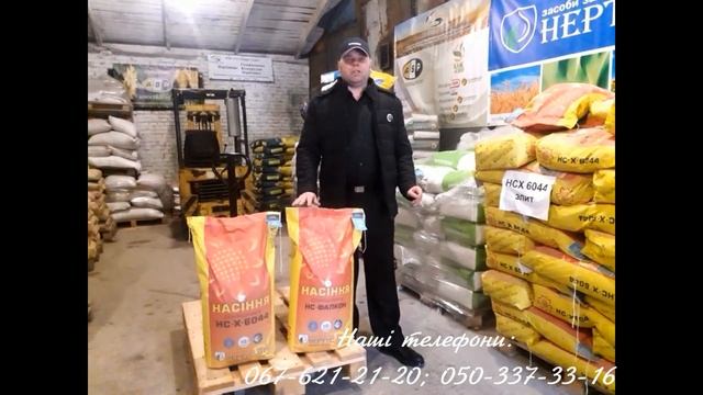 СТОП заразиха!!! (НСХ 6044, НС Фалкон) смотреть онлайн