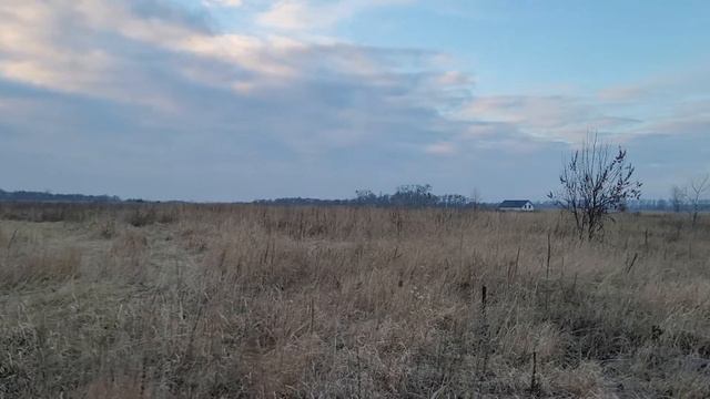 Земля для постройки дома , можно как инвестицию. Киевская область