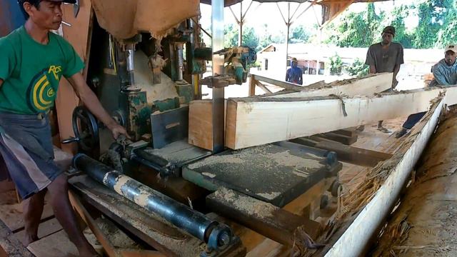Meranti Wood!! Proses Penggergajian Kayu Meranti Kalimantan (Sawmill)