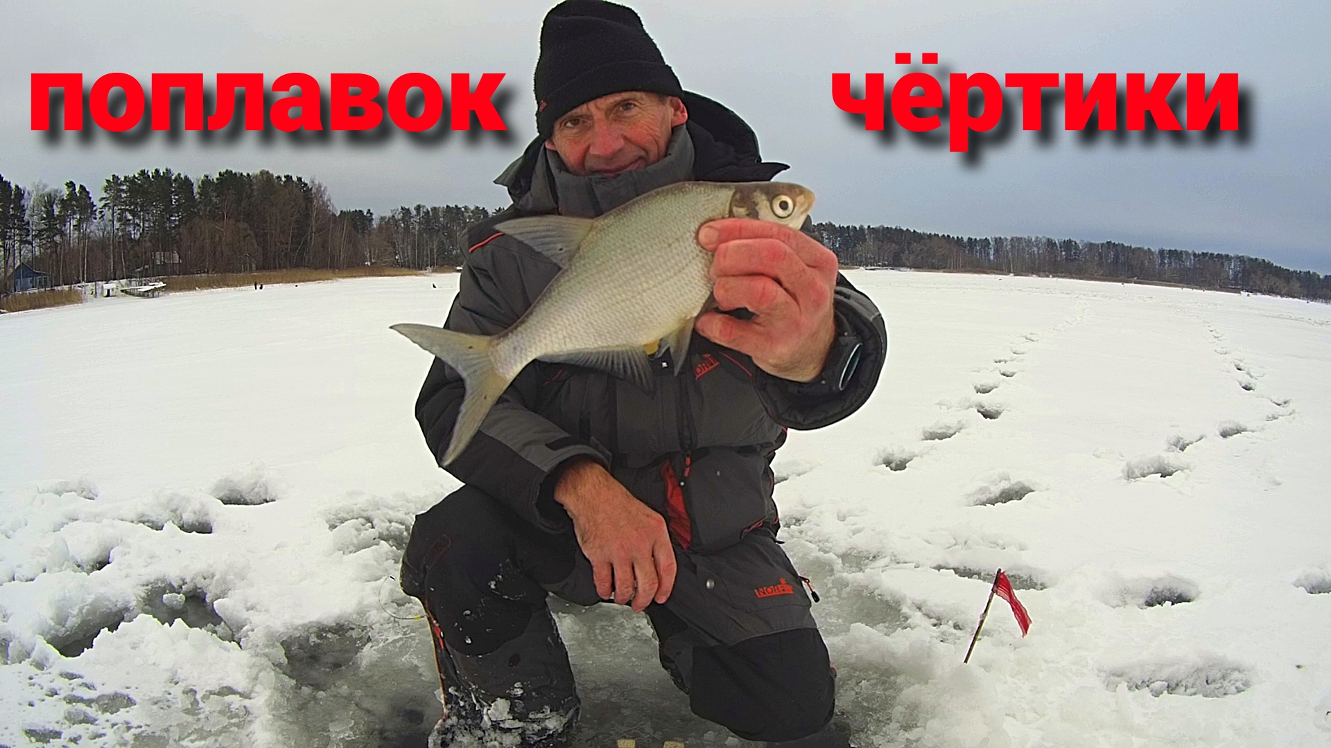 ПОДЛЕЩ на ИСТРЕ. ПОПЛАВОК и ЧЕРТИ. Рыбалка в начале декабря. смотреть онлайн