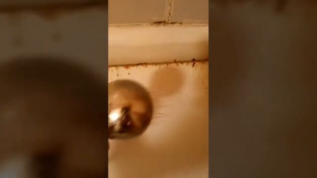 «Пром-Экси» - Универсальный щелочной концентрат. (видео №2) смотреть онлайн