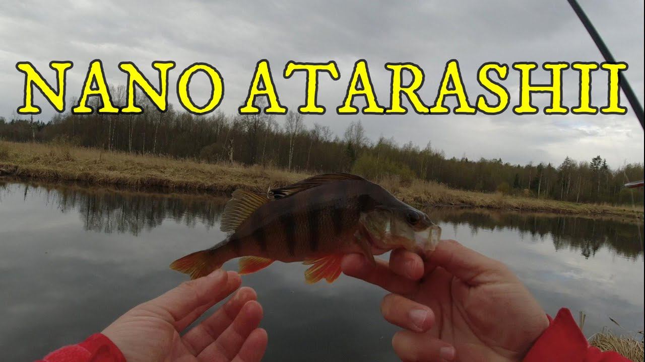 #507 #мормышинг | Разведка новых мест | NANO ATARASHII смотреть онлайн