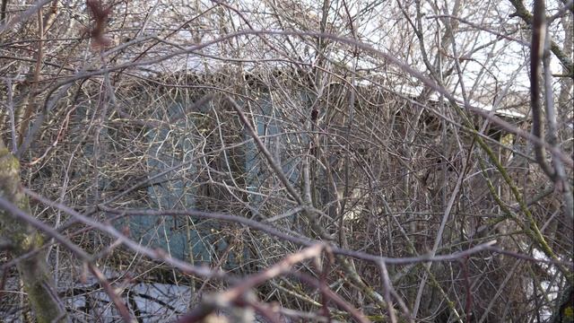 Козыри,Вы мои Козыри!