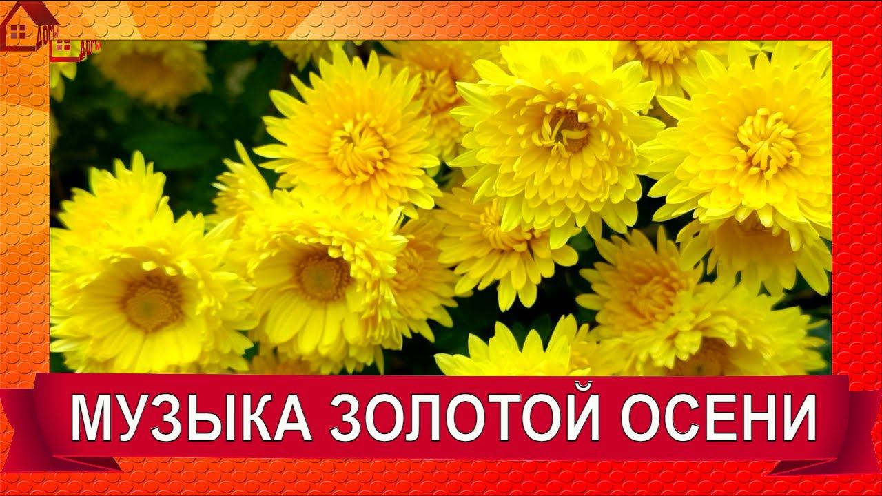 КРАСИВАЯ ОСЕНЬ ПОД КРАСИВУЮ МУЗЫКУ ДЛЯ ДУШИ в моем любимом саду/РЕЛАКС смотреть онлайн