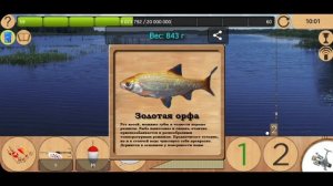 Как поймать Орфу на Рыбхозе [NEW] | Реальная Рыбалка