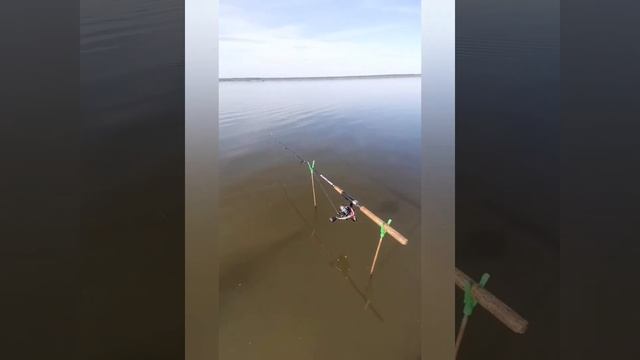 Рыбалка карп карась озеро байнауш смотреть онлайн