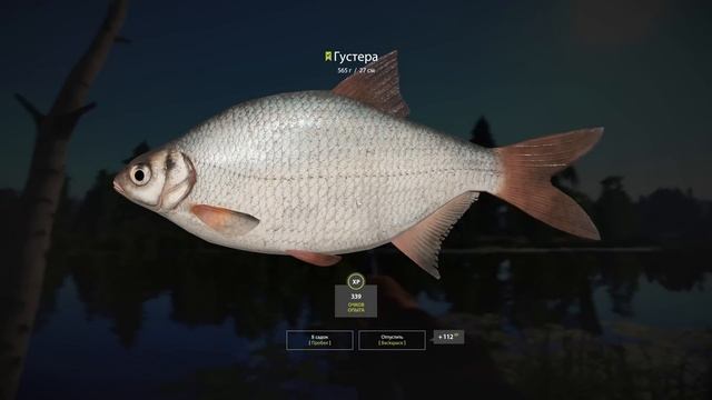 Русская Рыбалка 4 • Улучшил катушки Pride • Рыбалка на поплавок на р Вьюнок • Универсал #13 смотреть онлайн