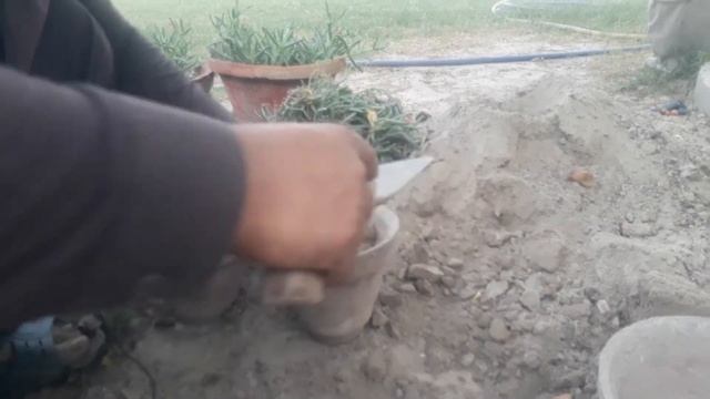 How To Grow Ice Plant (lampranthus) form cutting||iceplant Poday Lagane ka Tarikaگرمیوں کے پھول смотреть онлайн