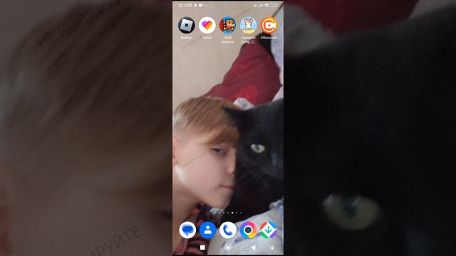 1000042672.mp4 смотреть онлайн