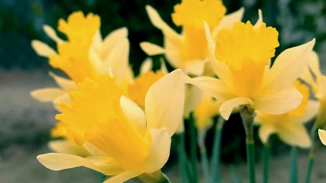 Исцеление во время сна  - Музыка для сна | Чудо сон | Музыка для глубокой медитации