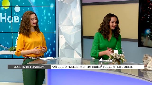 Как сделать Новый год безопасным для питомцев? смотреть онлайн