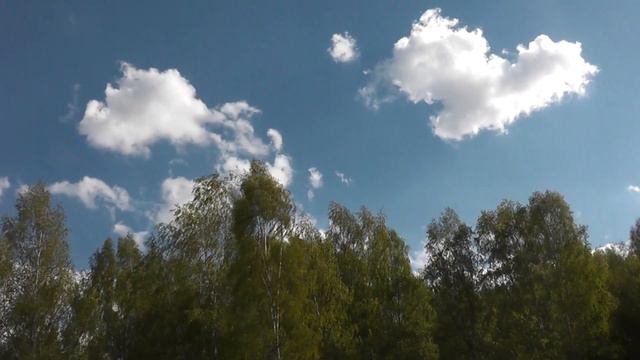 Дусларга жыр.Ришат Галиханов җырлый.