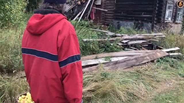 Варенье из тёрна в автоклаве смотреть онлайн