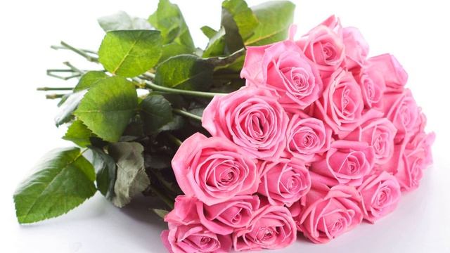 Поздравляю с днем рождения Альбина смотреть онлайн