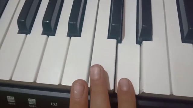 Practical Of Fx1 Fx2 Fx3 Fx4 In Casio Ctk 2550