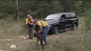 Возвращение Мухтара Задержание Макрушина