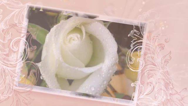 Супер красивая видео открытка Я люблю тебя - I love you to tears смотреть онлайн