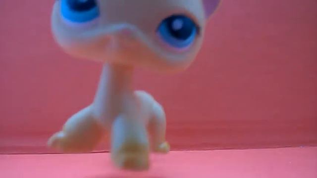 LPS: встречка в Уфе!!!!!!!!!!!!!!!!!!!!!!!😲 смотреть онлайн