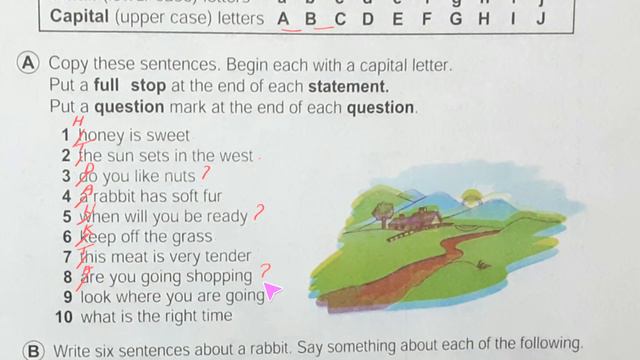 Junior English-1-Page-11-Capital letters beginning a sentence I solution of junior english-1 смотреть онлайн