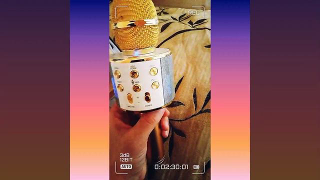 Микрофон WESTER WS 858 Bluetooth подключения лучший микрофон