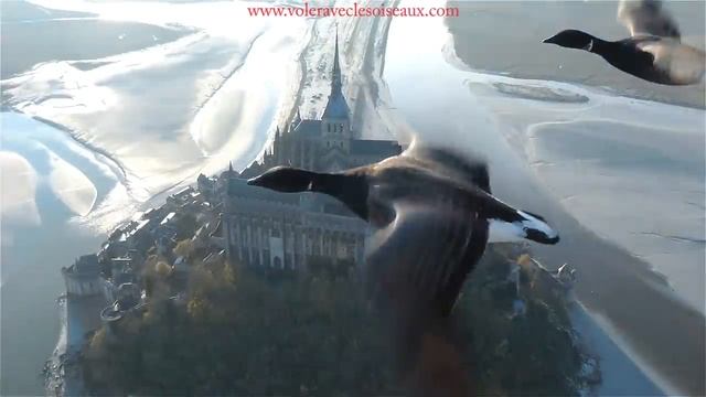 Amazing flights with birds on board of a microlight. Christian Moullec avec ses oiseaux смотреть онлайн