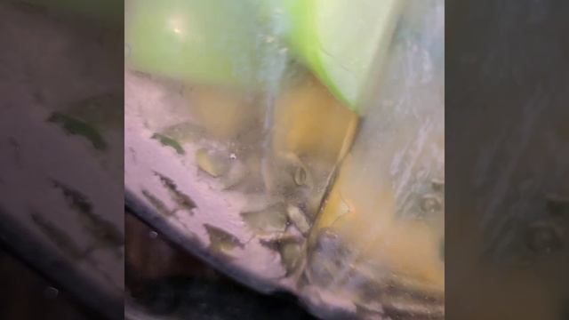 Healthy Delicious Vitamix Power Smoothie Recipe (full ingredients list in notes) Pom, Spinach, Berr смотреть онлайн