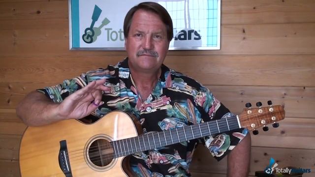 Go All The Way - Guitar Lesson Preview смотреть онлайн