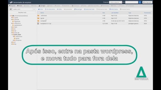 Instalando Wordpress manualmente no cPanel смотреть онлайн
