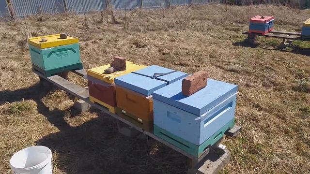 Сила пчелосемей на середину апреля. Доделал ревизию.