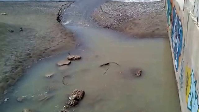 Адлер. Сброс в море ! (неизвестная вода)