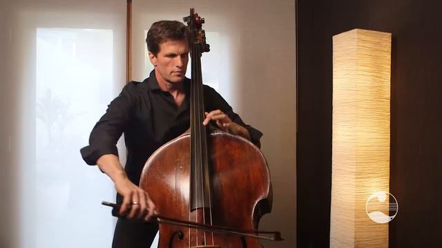 AMEB Double Bass Technical Work: Grade 3 - Double-stop primer смотреть онлайн