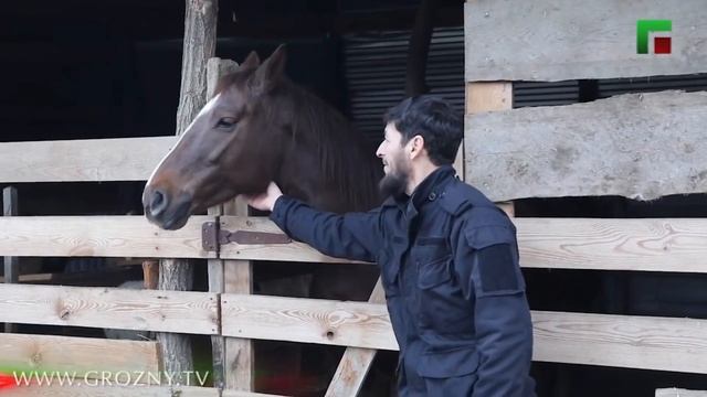 Своя ферма.Развития Сельского Хозяйства.ФермерствоРу смотреть онлайн