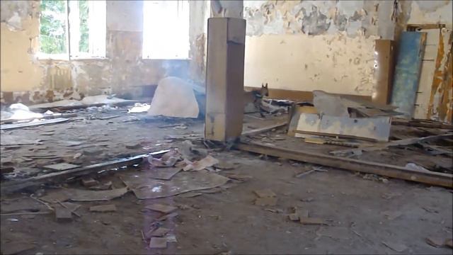 Занятия собак-ПСС-2 13.04.13 смотреть онлайн
