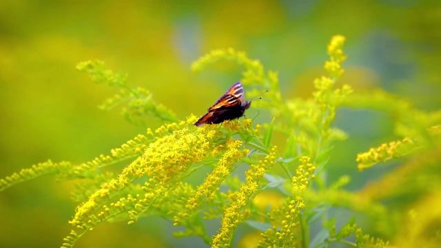 Доброе утро! смотреть онлайн